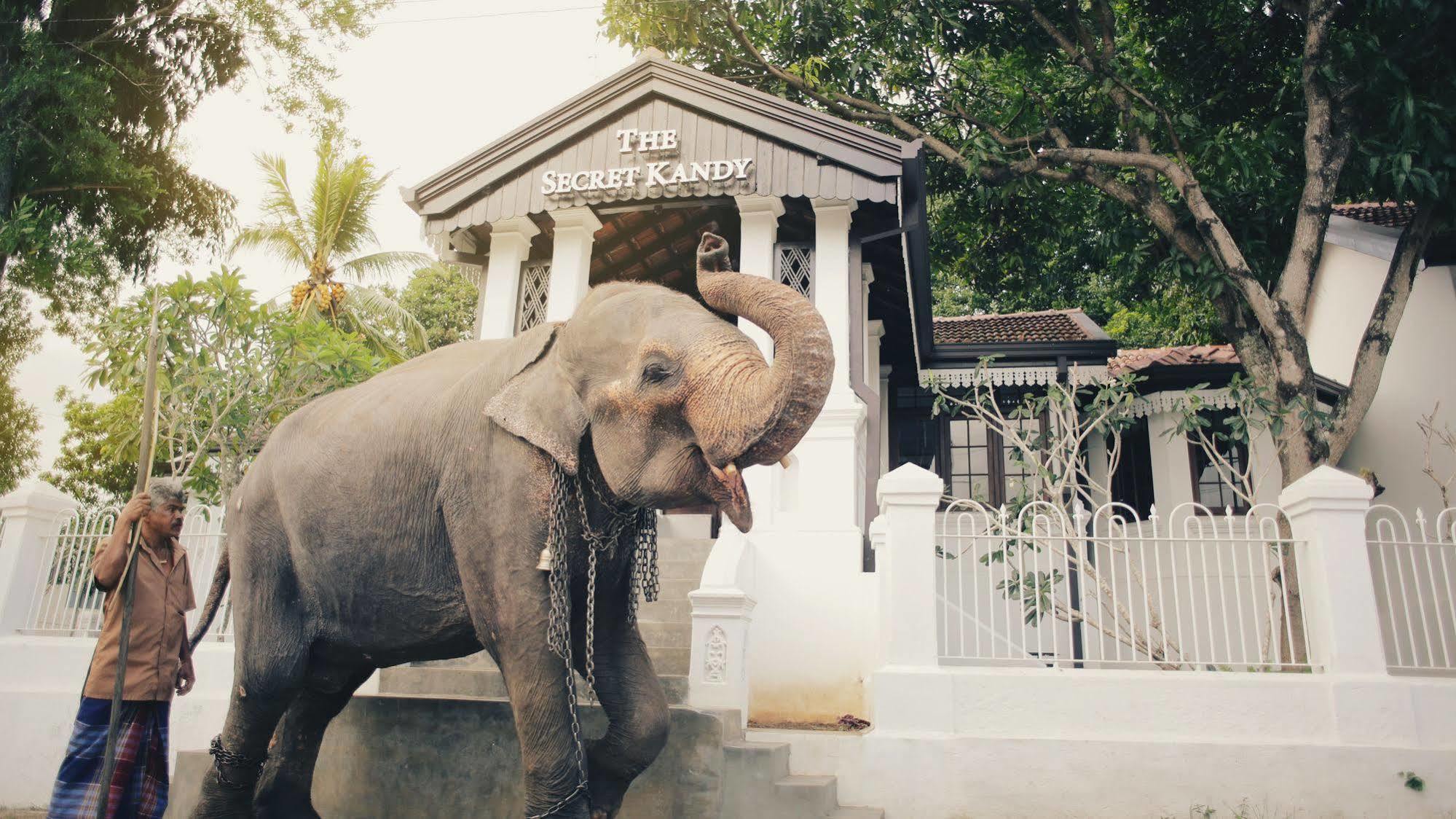 The Secret Kandy Exterior foto